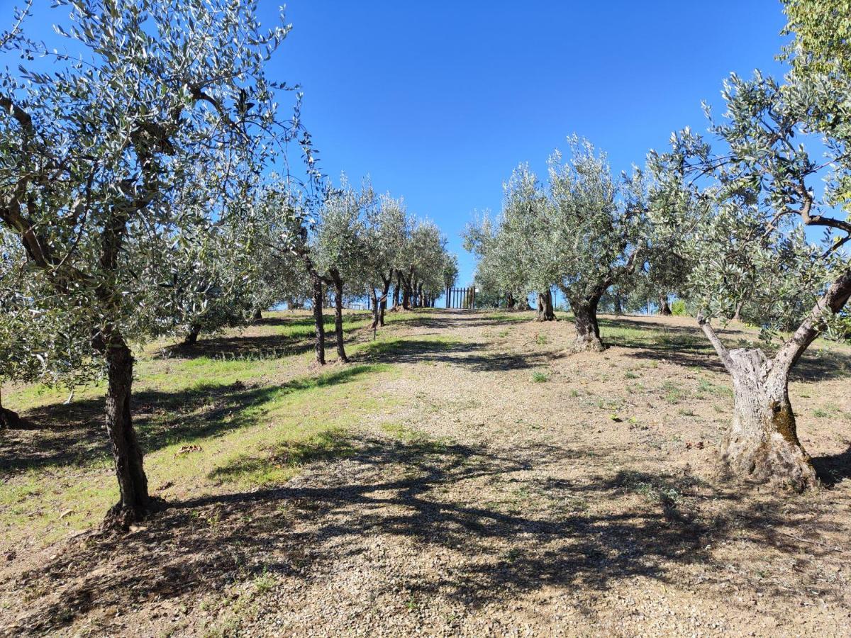 Agriturismo Sommassa Greve in Chianti Exterior photo